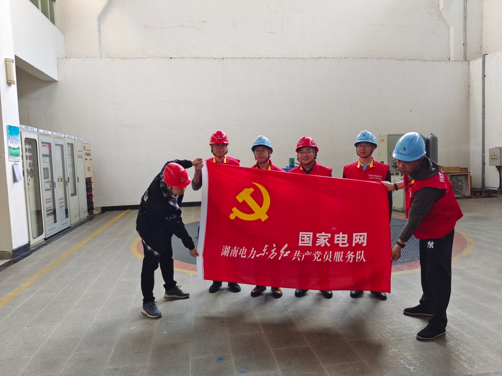 鳥兒巢公司黨支部與國網(wǎng)懷化供電公司電力調控中心黨支部開展黨建聯(lián)建活動