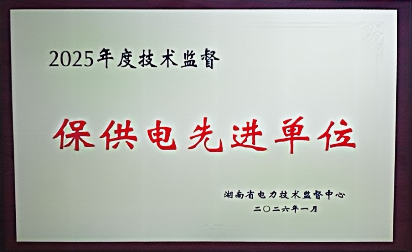 十年深耕保供電 匠心護航獲殊榮——蟒塘溪水電站榮獲2025年度“保供電先進單位”